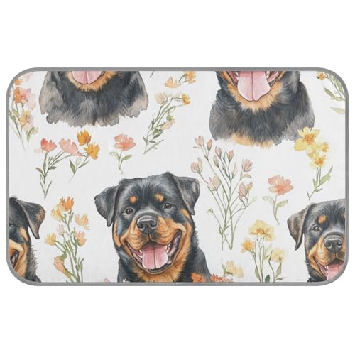 Tiere, lustige Hunde-Sommerunterlage für Outdoor-Katzen, selbstkühlend, 96,5 x 58,4 cm, Haustier-Kühlmatten für Kaninchen, Schlafutensilien, Manta, Fria, Para, Perros, M Tiere, lustige Hunde-Sommerunterlage für Outdoor-Katzen, selbstkühlend, 96,5 x 58,4 cm, Haustier-Kühlmatten für Kaninchen, Schlafutensilien, Manta, Fria, Para, Perros, M von voucong