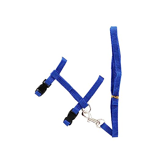 vreplrse Haustier Laufleine, einfarbig, verstellbar, Tierhalsband, Kabelbaum, bequemer Ersatz, ausbruchsicheres Zubehör, Blau von vreplrse