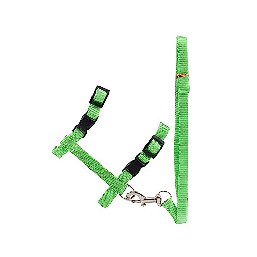 vreplrse Haustier Laufleine, einfarbig, verstellbar, Tierhalsband, Kabelbaum, bequemer Ersatz, ausbruchsicheres Zubehör, Grün vreplrse Haustier Laufleine, einfarbig, verstellbar, Tierhalsband, Kabelbaum, bequemer Ersatz, ausbruchsicheres Zubehör, Grün von vreplrse