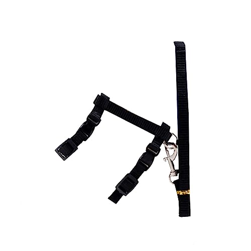 vreplrse Haustier Laufleine, einfarbig, verstellbar, Tierhalsband, Kabelbaum, bequemer Ersatz, ausbruchsicheres Zubehör, Schwarz vreplrse Haustier Laufleine, einfarbig, verstellbar, Tierhalsband, Kabelbaum, bequemer Ersatz, ausbruchsicheres Zubehör, Schwarz von vreplrse