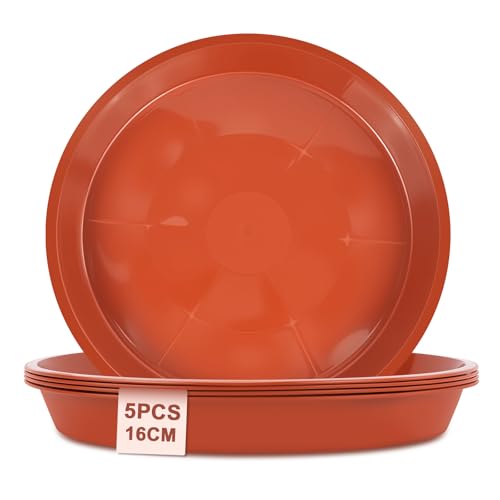 vsshe 5 Stück Blumentopf Untersetzer, Untersetzer für Blumentöpfe, Blumentopfmatte, Kunststoff Blumenuntersetzer Rund aus Ø 16 cm, Blumentopfuntersetzer für Innen- und Außenpflanzen, Rot vsshe 5 Stück Blumentopf Untersetzer, Untersetzer für Blumentöpfe, Blumentopfmatte, Kunststoff Blumenuntersetzer Rund aus Ø 16 cm, Blumentopfuntersetzer für Innen- und Außenpflanzen, Rot von vsshe