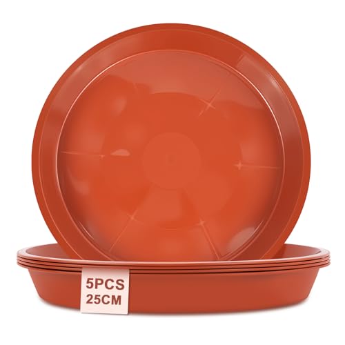 vsshe 5 Stück Blumentopf Untersetzer, Untersetzer für Blumentöpfe, Blumentopfmatte, Kunststoff Blumenuntersetzer Rund aus Ø 25 cm, Blumentopfuntersetzer für Innen- und Außenpflanzen, Rot vsshe 5 Stück Blumentopf Untersetzer, Untersetzer für Blumentöpfe, Blumentopfmatte, Kunststoff Blumenuntersetzer Rund aus Ø 25 cm, Blumentopfuntersetzer für Innen- und Außenpflanzen, Rot von vsshe