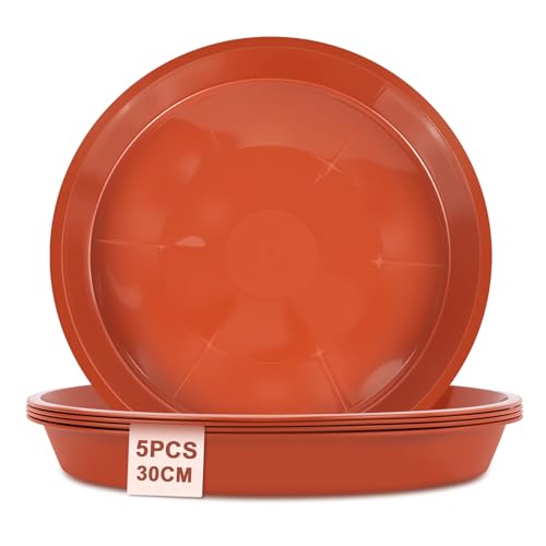 vsshe 5 Stück Blumentopf Untersetzer, Untersetzer für Blumentöpfe, Blumentopfmatte, Kunststoff Blumenuntersetzer Rund aus Ø 30 cm, Blumentopfuntersetzer für Innen- und Außenpflanzen, Rot vsshe 5 Stück Blumentopf Untersetzer, Untersetzer für Blumentöpfe, Blumentopfmatte, Kunststoff Blumenuntersetzer Rund aus Ø 30 cm, Blumentopfuntersetzer für Innen- und Außenpflanzen, Rot von vsshe
