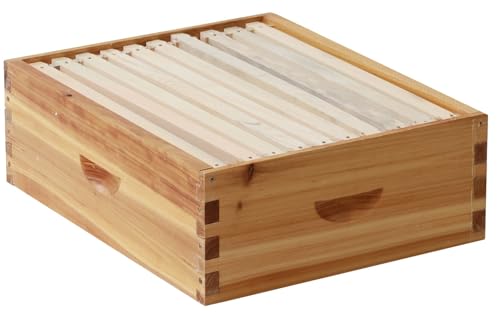 Langstroth Bienenstock mit 100 Rahmen, beschichtet mit 100% Bienenwachs, inklusive Bienenstockrahmen und Fundamenten (1 mittelgroße Box) von walsport