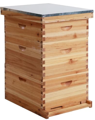 Langstroth Bienenstock mit 100 Rahmen, beschichtet mit 100% Bienenwachs, inklusive Bienenstockrahmen und Fundamenten (2 tiefe Boxen & 1 mittelgroße Boxen) von walsport