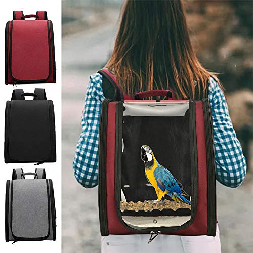 wangza Vogel Transporttasche Papagei Rucksack wasserdichte Leinwand Bird Carrier Backpack Tragbar Vogelträger mit Schiebefach Sitzstange Vogelkäfig Rucksack von YAMOOCO