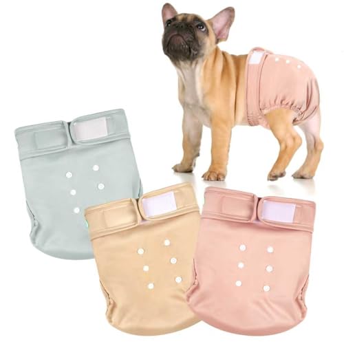 wegreeco Frenchie Hundewindeln für Damen, ohne Schwanzloch, waschbar, für französische Welpen, Bulldoggen, Hündinnen für Periodenhitze (Morandi, Größe M) von wegreeco