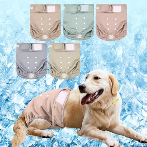wegreeco Kühlende Sommerwindeln für Damen, wiederverwendbare Kühlwindeln, hochsaugfähige Welpenhöschen für Hitze, erregtes Wasserlassen oder Inkontinenz, selbstkühlend, 5 Stück (elegant, groß) wegreeco Kühlende Sommerwindeln für Damen, wiederverwendbare Kühlwindeln, hochsaugfähige Welpenhöschen für Hitze, erregtes Wasserlassen oder Inkontinenz, selbstkühlend, 5 Stück (elegant, groß) von wegreeco
