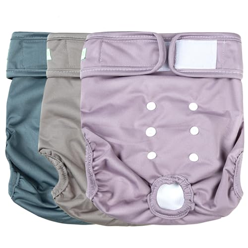 wegreeco Waschbare, wiederverwendbare Premium-Hundewindeln, 3 Stück, für kleine Hunde, Welpen und Hunde, Höschen, Windeln für weibliche Perioden in Hitze, Morandi-2 XL wegreeco Waschbare, wiederverwendbare Premium-Hundewindeln, 3 Stück, für kleine Hunde, Welpen und Hunde, Höschen, Windeln für weibliche Perioden in Hitze, Morandi-2 XL von wegreeco