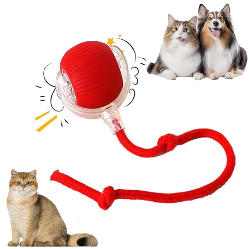 Katzen Spielzeug Kitten,Interaktives Kätzchenball Spielzeug USB aufladbar, DREI Betriebsmodi, 360° drehbar Smart Ball für Katzen und Hunde (rot) von weiclianhp