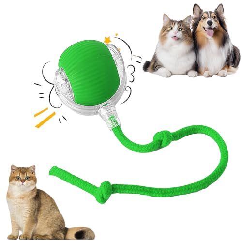 Interaktives Kätzchenball Spielzeug - Elektrisches Spielzeug für Katzen, USB aufladbar, drei Betriebsmodi, 360° drehbar Smart Ball für Katzen und Hunde Interaktives Kätzchenball Spielzeug - Elektrisches Spielzeug für Katzen, USB aufladbar, drei Betriebsmodi, 360° drehbar Smart Ball für Katzen und Hunde von weiclianhp