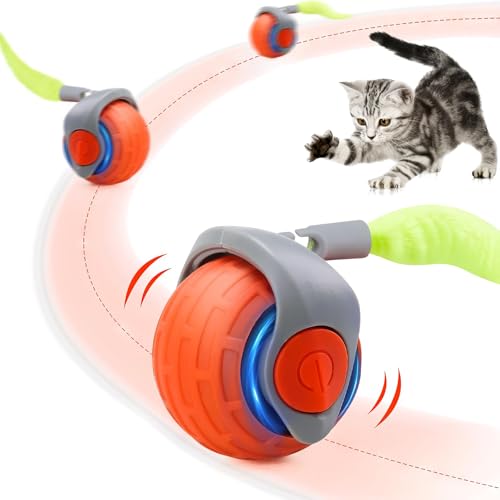 weiclianhp Smart Pet Katzenball weiclianhp Smart Pet Katzenball von weiclianhp