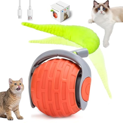 weiclianhp Elektrisches Interaktives Katzenspielzeug Set – Intelligenzspielzeug für Katzen mit Ball & Federschwanz, USB-wiederaufladbar, Selbstbeschäftigung & Bewegung für Wohnungskatzen von weiclianhp