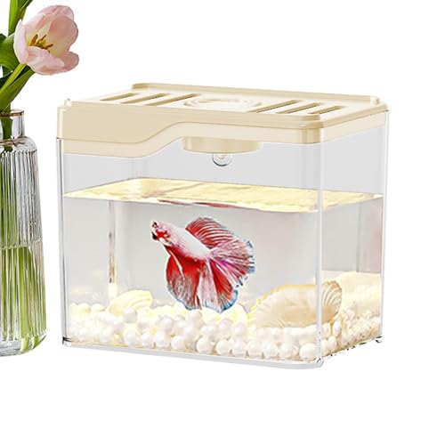 weiting Betta Fischtank, Desktop -Fischtank - Top Lüftungsloch robuster Fischtank - Bunte LED Lights Bowl Desktop Room Decor für Häuser oder Büros von weiting