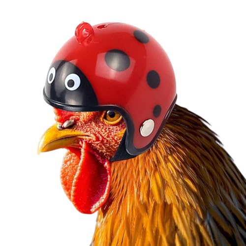 weiting Hüte für Hühner, Hühnerhut für Hühner,Lustige echte Hühnerschutzausrüstung - PET -Vorräte, Amphibienkleidung, Sicherheitskopfbedeckung für alle von Hühnervogelpapageien Shoteset von weiting