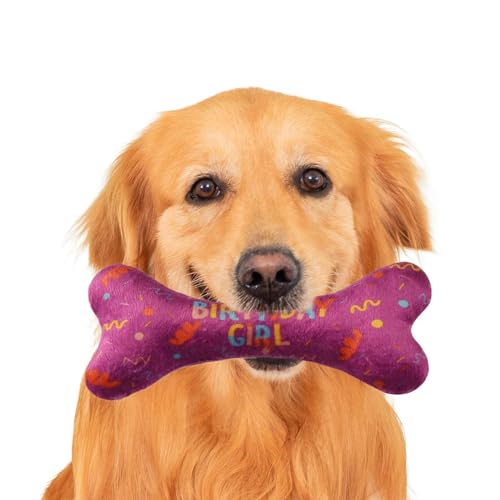 weiting Hundetücher | Hundegeburtstags-Halstuch Mit Knochenspielzeug - Verstellbare Hundezubehör Niedliche Knochen Schal Für Spaziergänge Outdoor Geburtstag von weiting