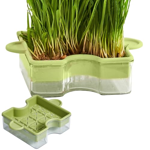 weiting Hydrokultur-Katzengras-Pflanzgefäß,Katzengras-Pflanzgefäß,Puzzle Design Katzenminze-Pflanzgefäß mit Doppelschicht - Soilless Hydroponics Multifunktionaler Pflanzkasten, Katzengras-Tablett für weiting Hydrokultur-Katzengras-Pflanzgefäß,Katzengras-Pflanzgefäß,Puzzle Design Katzenminze-Pflanzgefäß mit Doppelschicht - Soilless Hydroponics Multifunktionaler Pflanzkasten, Katzengras-Tablett für von weiting