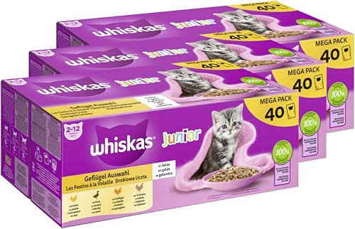 WHISKAS® Portionsbeutel Multipack Junior Geflügel Auswahl in Gelee 3 x 40 x 85g von whiskas