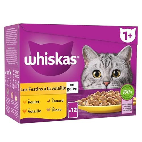 WHISKAS Katzenmehl - 48 Frischbeutel (4er Pack 12 x 85g) - Geflügelmahlzeit (4 Sorten) - Futter für ausgewachsene Katzen in Gelee Nassfutter auch für sterilisierte Katzen geeignet von whiskas