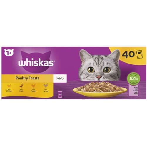 Whiskas 1+ Adult Poultry Selection in Jelly 40 Poultry Poultry Selection in Jelly, Adult Net Cat Food, Megapack (40 x 85 g) von whiskas