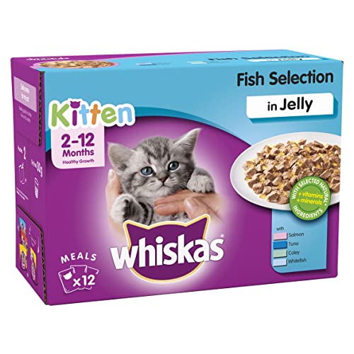 Whiskas <1 - Katzennassfutter für Kätzchen - Fischauswahl in Gelee - 12 x 100g von whiskas
