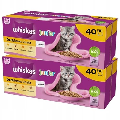 Whiskas Junior Geflügel Auswahl in Gelee, 80 Portionsbeutel à 85g (2-er Pack) – Hochwertiges Katzenfutter nass, für heranwachsende Katzen von whiskas