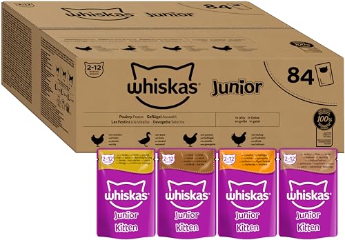 Whiskas Junior Katzennassfutter Geflügel Auswahl in Gelee, 84 Portionsbeutel, 84x85g (1 Großpackung) – Hochwertiges Katzenfutter nass, für heranwachsende Katzen von 2 bis 12 Monaten von whiskas