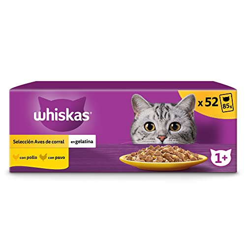 Whiskas Nassfutter für Erwachsene Katzen Auswahl Vögel in Gelatine (13 x 4 Beutel x 85 g) von whiskas