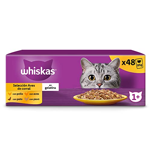 Whiskas Nassfutter für Erwachsene Katzen Auswahl Vögel in Gelatine Multipack (4 x 12 Beutel x 85 g) von whiskas