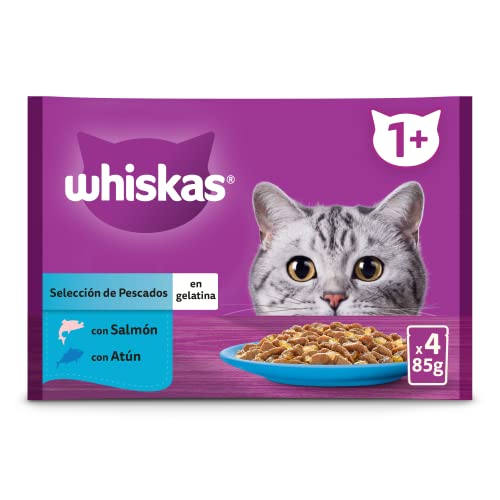 Whiskas Nassfutter für Katzen, Auswahl Fische, 4 x 85 g Whiskas Nassfutter für Katzen, Auswahl Fische, 4 x 85 g von whiskas