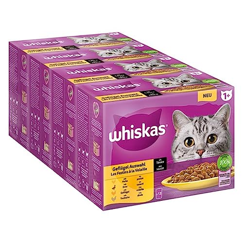 whiskas Katzenfutter Nassfutter Adult 1+ Geflügelauswahl in Gelee, 80 x 100g Mega Pack von whiskas