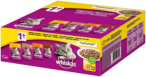 whiskas Katzenfutter Nassfutter Adult 1+ Geflügelauswahl in Gelee, 80 x 100g Mega Pack von whiskas