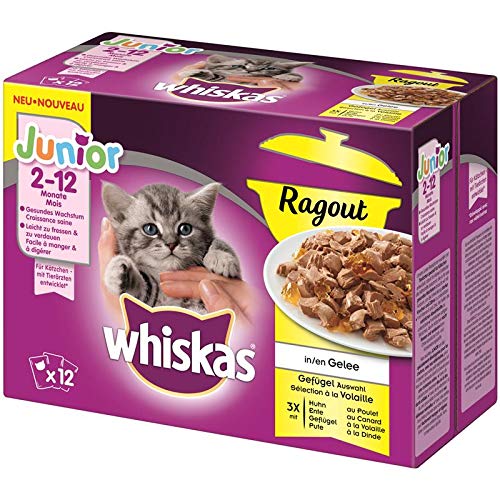 whiskas Multipack Junior Ragout Geflügelauswahl | 48x 85g Katzenfutter von whiskas