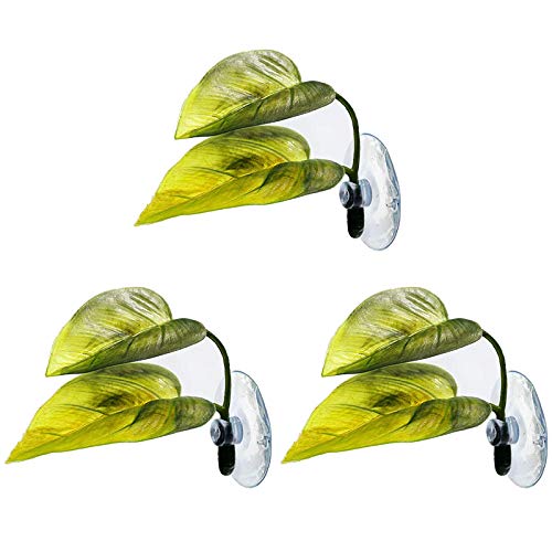 Vorfaove Fischhängematte Pflanze Blatt Matte Fisch Verbreitung Zucht Ruhebett Vorfaove Fischhängematte Pflanze Blatt Matte Fisch Verbreitung Zucht Ruhebett von wiianoxd