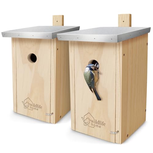 WILDLIFE HOME Nistkasten Meisen - 2er Set mit Metalldach für Blaumeisen & Co. I nach NABU aus verschraubtem Massiv-Holz I Wetterfest & Unbehandelt I Vogelhaus zum Aufhängen, 2 Stück WILDLIFE HOME Nistkasten Meisen - 2er Set mit Metalldach für Blaumeisen & Co. I nach NABU aus verschraubtem Massiv-Holz I Wetterfest & Unbehandelt I Vogelhaus zum Aufhängen, 2 Stück von wildlife home