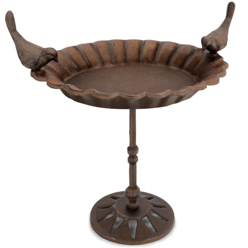 wildlife home Vogeltränke stehend I Vogeltränke 41cm hoch mit Standfuß Garten, Balkon I Vogelbad frostsicher aus Gusseisen, Wassertränke für Vögel, Wildvögel wildlife home Vogeltränke stehend I Vogeltränke 41cm hoch mit Standfuß Garten, Balkon I Vogelbad frostsicher aus Gusseisen, Wassertränke für Vögel, Wildvögel von wildlife home