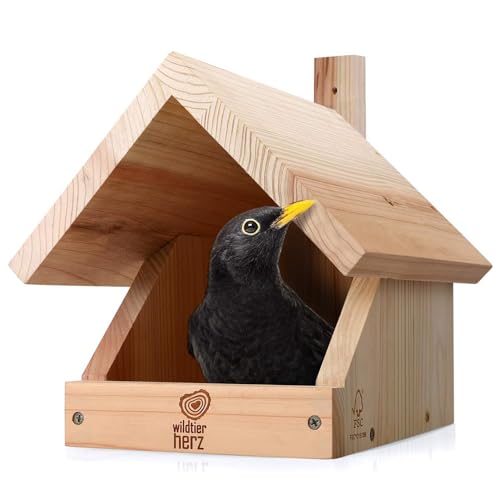 wildtier herz I Amsel Nistkasten aus verschraubtem Massiv-Holz - 25 x 28.5 x 27 cm, Wetterfest & Unbehandelt, Vogelhaus für Halbhöhlenbrüter, Halbhöhle für Amseln, Rotkehlchen & Co. wildtier herz I Amsel Nistkasten aus verschraubtem Massiv-Holz - 25 x 28.5 x 27 cm, Wetterfest & Unbehandelt, Vogelhaus für Halbhöhlenbrüter, Halbhöhle für Amseln, Rotkehlchen & Co. von wildtier herz