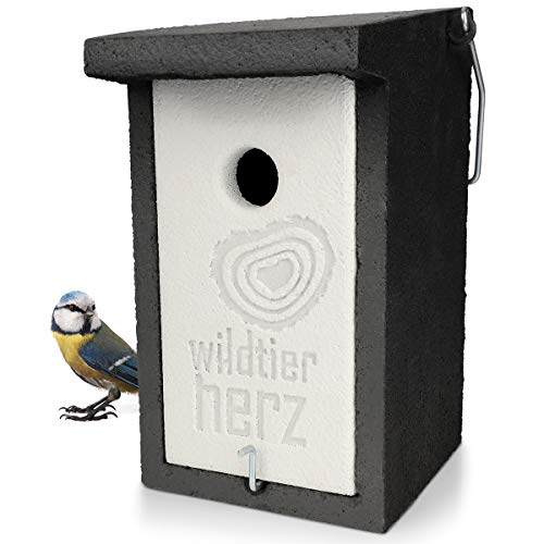 wildtier herz I Holzbeton Nistkasten für Blaumeisen & Co. – Wetterfeste Nisthöhle mit 28 mm Einflugloch, Vogelhaus & Brutkasten für Meisen von wildtier herz
