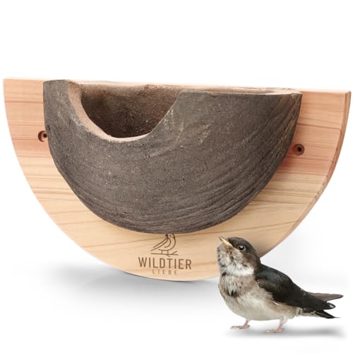 wildtier liebe 1er Schwalbennest, Nisthilfe Natur für Mehlschwalben aus Massiv-Holz und naturgetreuen Schlammerden - unbehandelt, wetterfest, Schwalben Nistkasten wildtier liebe 1er Schwalbennest, Nisthilfe Natur für Mehlschwalben aus Massiv-Holz und naturgetreuen Schlammerden - unbehandelt, wetterfest, Schwalben Nistkasten von wildtier liebe
