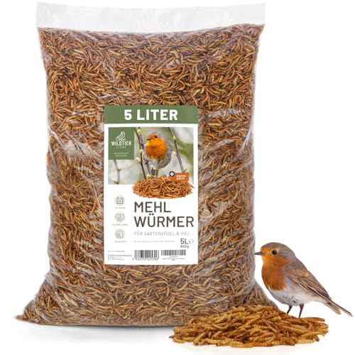 wildtier liebe Edel Mehlwürmer getrocknet 5L I Getrocknete Mehlwürmer für Vögel & Igel I Mehlwürmer getrocknet, Vogelfutter - Insektenfutter für Gartenvögel von wildtier liebe