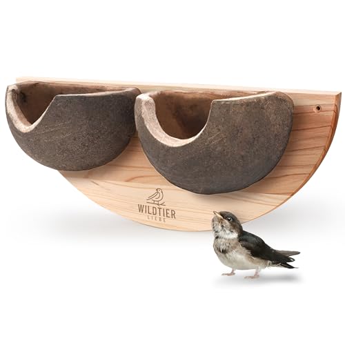 wildtier liebe Schwalbennest, Doppelnest I Nisthilfe Natur für Mehlschwalben aus Massiv-Holz & Naturgetreuen Schlammerden I Schwalbennistkasten, Mehlschwalbennest unbehandelt, Schwalben Nistkasten wildtier liebe Schwalbennest, Doppelnest I Nisthilfe Natur für Mehlschwalben aus Massiv-Holz & Naturgetreuen Schlammerden I Schwalbennistkasten, Mehlschwalbennest unbehandelt, Schwalben Nistkasten von wildtier liebe