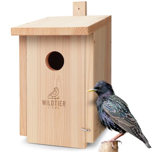 wildtier liebe Starenkasten Großer Nistkasten für Stare - Vogelhaus Nistkasten für Star aus Unbehandeltem Massiv-Holz, Starennistkasten Wetterfest und Artgerecht nach NABU wildtier liebe Starenkasten Großer Nistkasten für Stare - Vogelhaus Nistkasten für Star aus Unbehandeltem Massiv-Holz, Starennistkasten Wetterfest und Artgerecht nach NABU von wildtier liebe