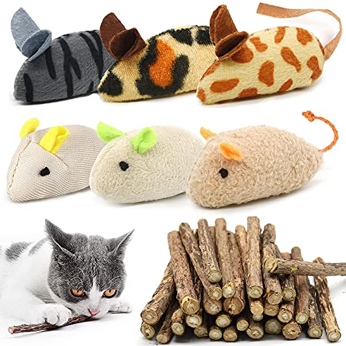 winbarry 36 Stück Katzenminzen Spielzeug, Katzenminzen Spielzeug Plüsch Maus, Katzenspielzeug Interaktives Katzenspielzeug Spielzeug für Katzen und Kätzchen Spielzeug Mäuse von winbarry