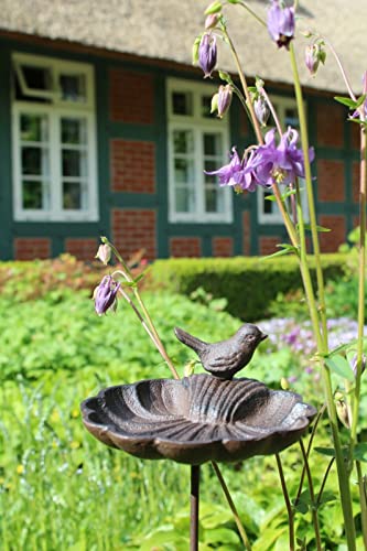 windschief-living Sehr süße Landhaus Vogeltränke LILO im Antik Stil, Shabby Chic, Beetstecker von windschief-living