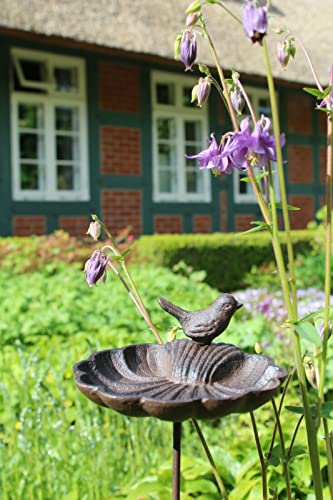 windschief-living Sehr süße Landhaus Vogeltränke LILO im Antik Stil, Shabby Chic, Beetstecker windschief-living Sehr süße Landhaus Vogeltränke LILO im Antik Stil, Shabby Chic, Beetstecker von windschief-living