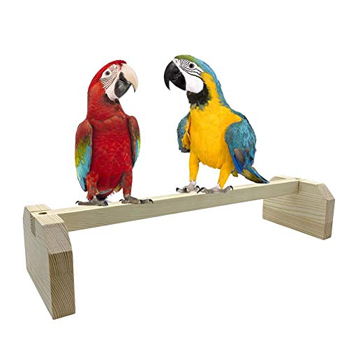 windyday Hühnerbarsch Holz Vogelständer Hühnerschaukel Vogel Papagei Barsch Ständer Spielzeug Für Mittlere und Große Papagei Hühner Ara, 40 x 12 x 8 cm von windyday