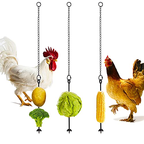 winemana 3 x Hühner-Gemüse-Spieß, Obsthalter für Hühner, Haustier, Küken, Stallzubehör, Gemüse, hängende Futterspender, Futterspielzeug für große Vögel von winemana