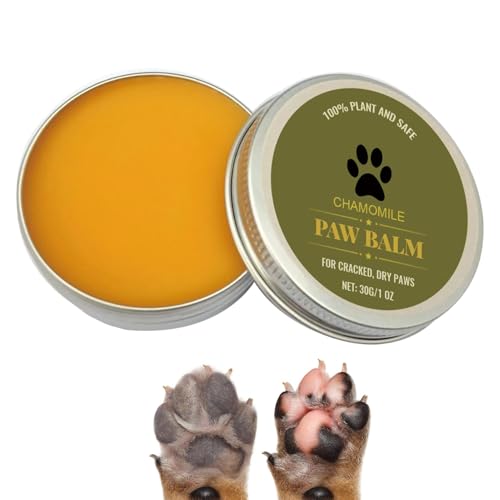 wiroouia Pfotenbalsam, Hundepfotenbalsam, 30g Pfoten Schnullerbalsam, Cremebutter, Sicheres Pfotenwachs Für Trockene, Wirksamer Pfotenschutz Für Katzen Und Hunde wiroouia Pfotenbalsam, Hundepfotenbalsam, 30g Pfoten Schnullerbalsam, Cremebutter, Sicheres Pfotenwachs Für Trockene, Wirksamer Pfotenschutz Für Katzen Und Hunde von wiroouia