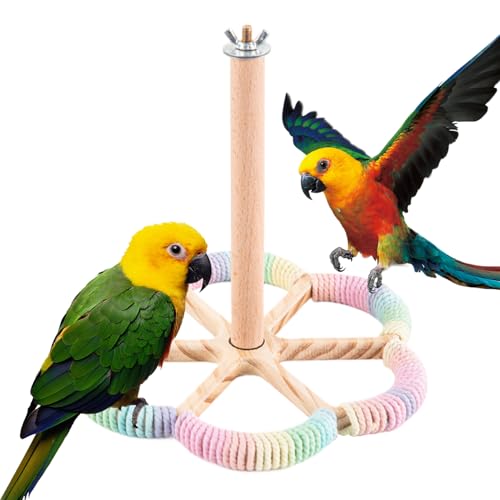 wiroouia Vogelstange Für Käfig,Interaktiver Drehbarer Stand | Kolibri Sitzstange Für Käfig Kanarienvögel Sittiche Kleine Und Mittelgroße Vögel wiroouia Vogelstange Für Käfig,Interaktiver Drehbarer Stand | Kolibri Sitzstange Für Käfig Kanarienvögel Sittiche Kleine Und Mittelgroße Vögel von wiroouia
