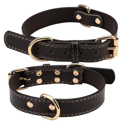 Hundehalsband Leder, Braun Halsband Hund aus Mikrofaser-Leder für Große und Kleine Hunde, Verstellbar Hundehalsband Leder Breit, 2.5cm, M Hundehalsband Leder, Braun Halsband Hund aus Mikrofaser-Leder für Große und Kleine Hunde, Verstellbar Hundehalsband Leder Breit, 2.5cm, M von witeup